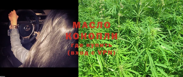шишки Медногорск
