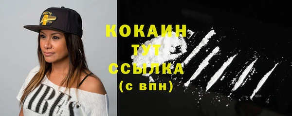 шишки Медногорск