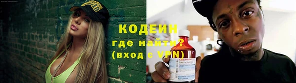 шишки Медногорск