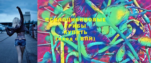 мет Медвежьегорск