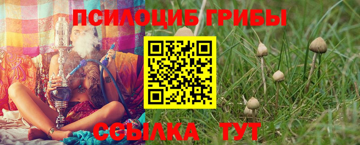Псилоцибиновые грибы ЛСД  Псилоцибиновые грибы Psilocybine cubensis  Донской  наркота  Вход с VPN 